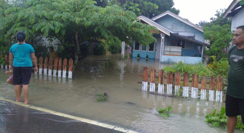 foto slider headline